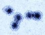 Severe acute respiratory syndrome coronavirus 2 (SARS-CoV-2). Source: RKI