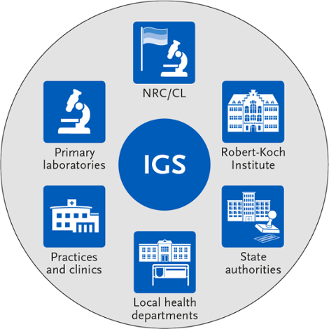 Stakeholders involved in the IGS. Source: © RKI